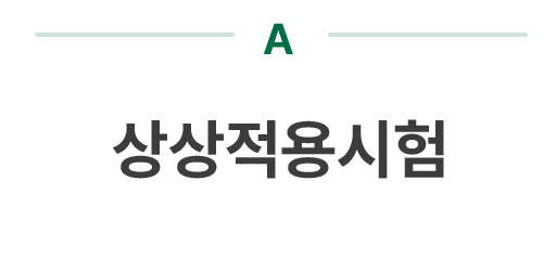 상상적용시험